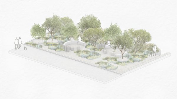Progetto di giardino mediterraneo a Otranto, Puglia – vista generale della ristrutturazione del paesaggio con alberi e bordure naturali