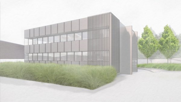 Progettazione giardino minimale per sede aziendale con graminacee ornamentali e siepi strutturate