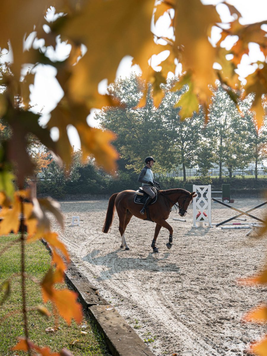 Cavaliere nel campo di addestramento di una tenuta equestre in Piemonte, incorniciato dal foliage autunnale.