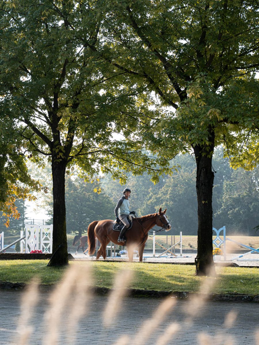 Cavaliere nel campo da gara di una tenuta equestre in Piemonte, tra alberi maturi e graminacee ornamentali.