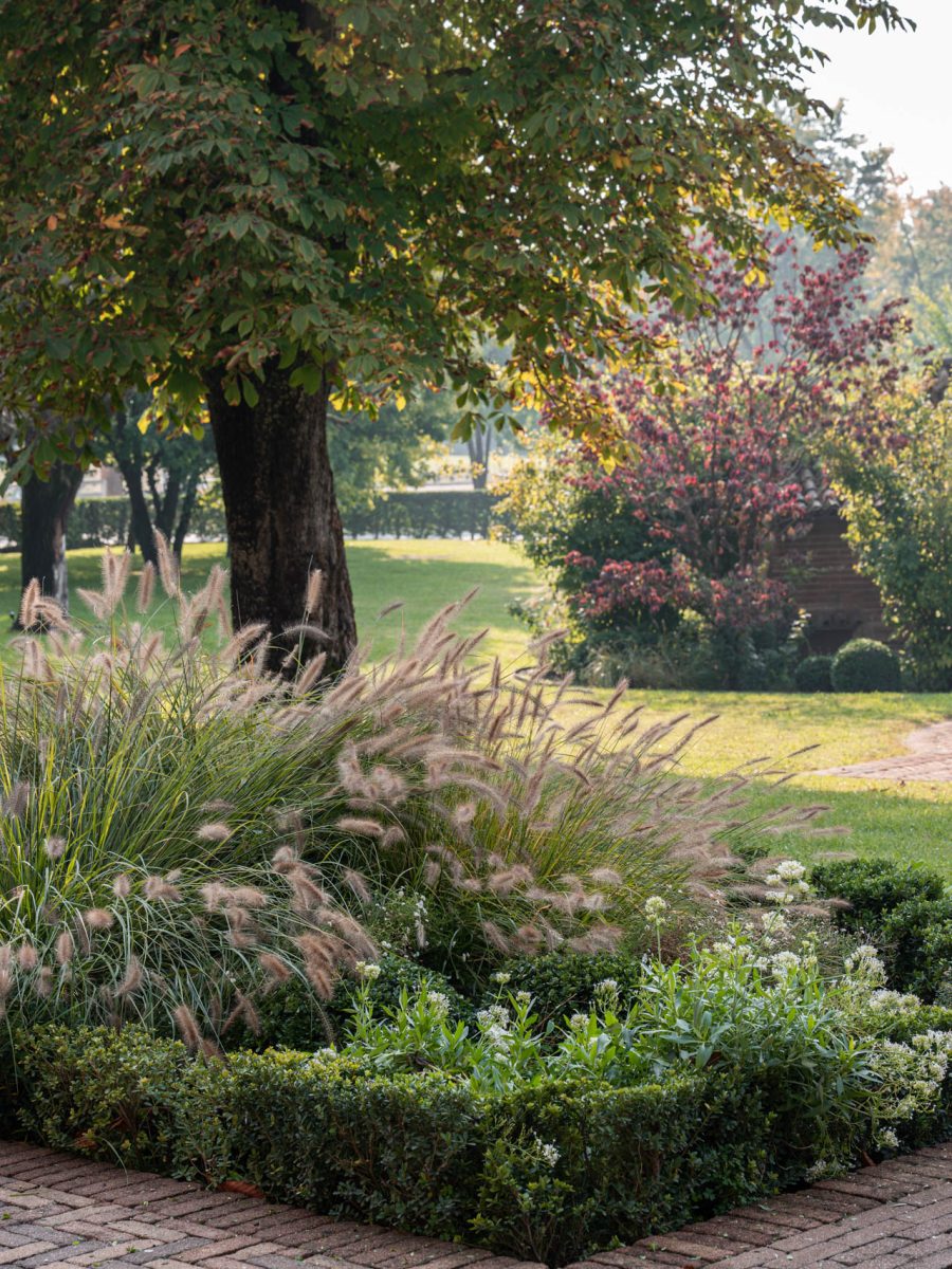 Bordura dry garden autunnale con Ilex crenata e Pennisetum davanti alla villa, con Cornus rosso nel parco sullo sfondo.