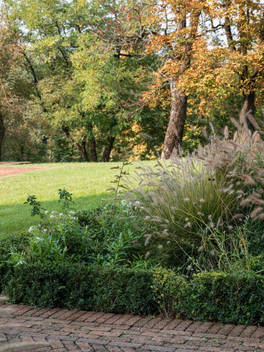 Bordura dry garden con siepe formale di Ilex crenata e Pennisetum, affacciata sul parco autunnale dello château.