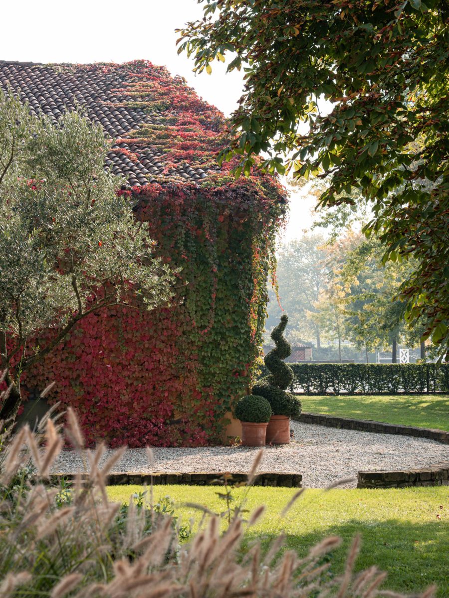 Giardino autunnale dello château relais Villa Silvia Sporthorses, con edificio rivestito di vite americana e Ilex crenata in vasi di terracotta.